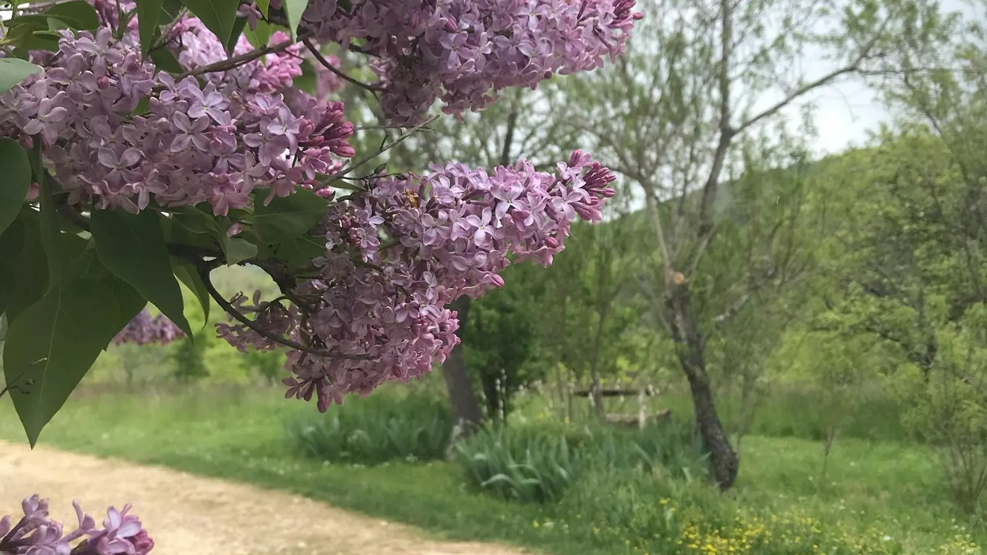 Le Mas De Loume Sault-de-Vaucluse Franciaország