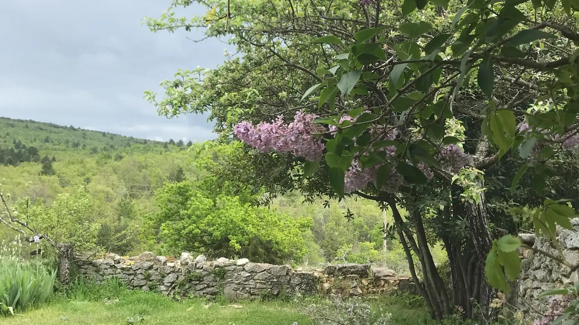 Le Mas De Loume Sault-de-Vaucluse